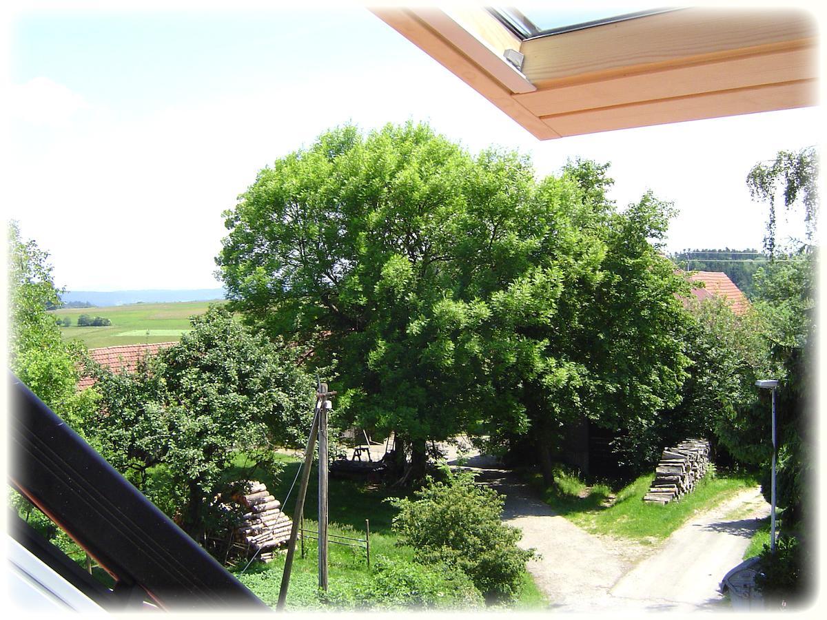 Gasthof Hotel Traube Oberndorf am Neckar Номер фото